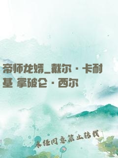 帝师龙婿